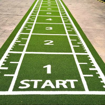 CE ISO9001 ISO14001 รับรอง Dorelom การฝึกอบรม